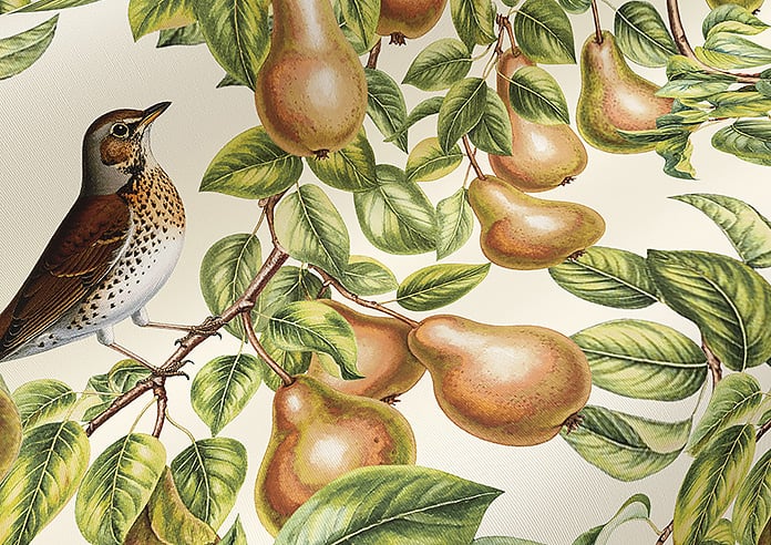 Pears, Petal - Roller Blind - Image 4